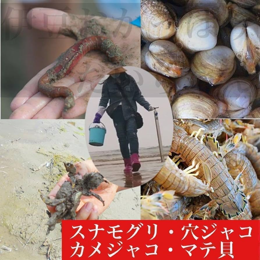 ヤビーポンプ　小　Sサイズ　1本　スナモグリ　穴ジャコ　黒鯛　釣餌　潮干狩り Amazon.co.jp: ヤビーポンプ 小 Sサイズ 1本 スナモグリ 穴